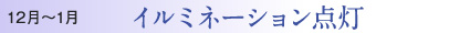 12月～1月 イルミネーション点灯