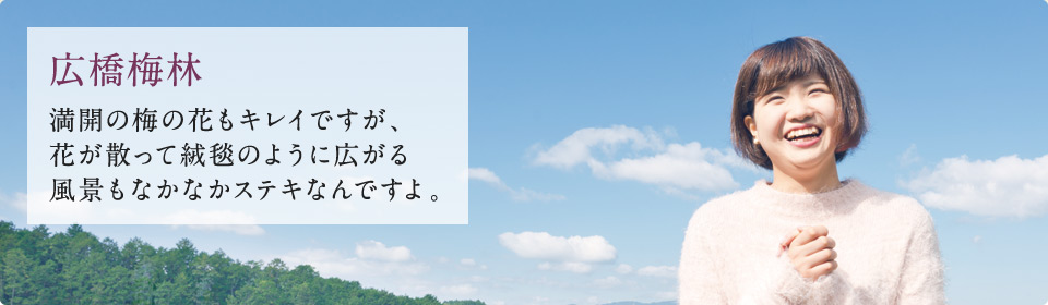 広橋梅林 満開の梅の花もキレイですが、花が散って絨毯のように広がる風景もなかなかステキなんですよ。