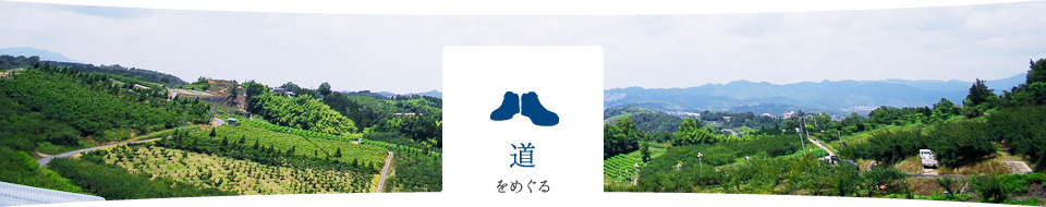 道をめぐる